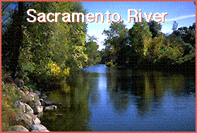 Our River of Life