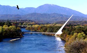 Redding Links
