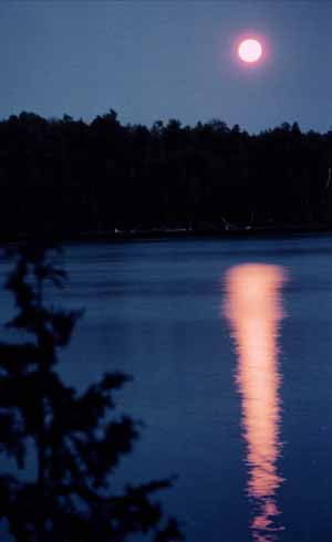 Gould Lake at night