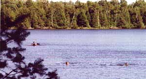 swimming to peninsula