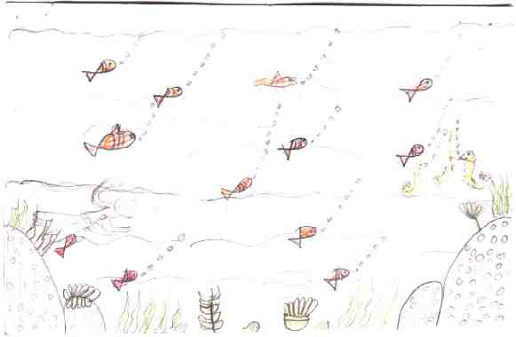 Tropical fishes