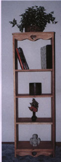 5Ft. Bookshelf