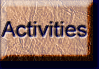 Council Activities