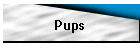 Pups