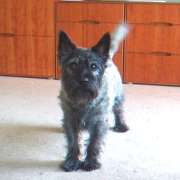 Put down that camera and PLAYwith me!