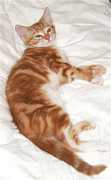 I was having a lovely dream...