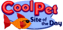 Cool Pet Award