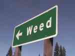 California City