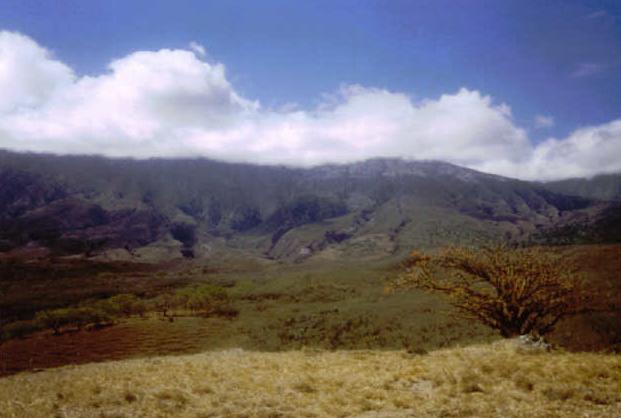 Some Hawaiian Mountains. (This place was part of some movie called Jurassic Park I think...)