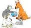 Picture of Dog, cat, bird, and fishbowl