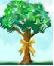 Tree with yellow ribbon
