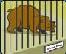 Picture of Animal in a cage