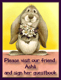 Ashli's Bunny