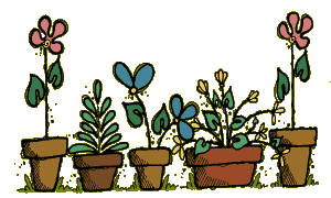 Flower Pots