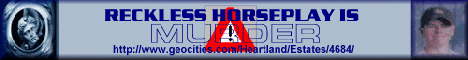 Reckless Horseplay