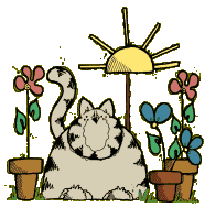 Gray Sitting Cat