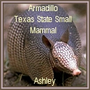 Ashley