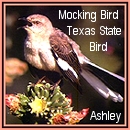 Ashley
