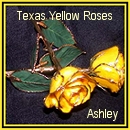 Ashley