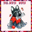 Silkey Kay