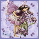 Lady J