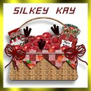 Silkey Kay