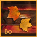 Bo