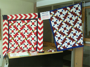 2009 Service Project