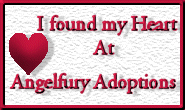 *~* Angelfury Adoptions *~*