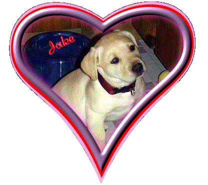 *~* Visit Janie's Site *~*