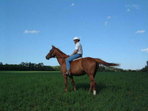 Miss Bea on a hack