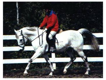 Earl Gray and Kathy