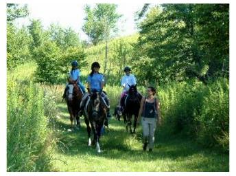 Enjoying a hack on a beautiful day