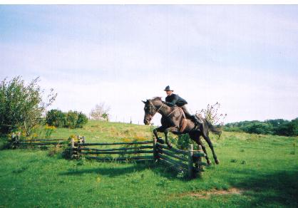 Jak and Mouse