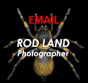 Comment or Suggestion? EMAIL ROD!