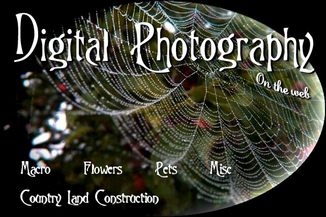 Digital Photography by Rodney D. Land