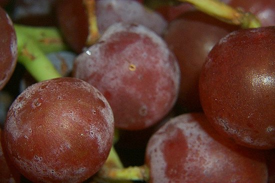 Grapes