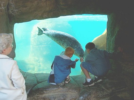 Seaside, Oregon Aquarium