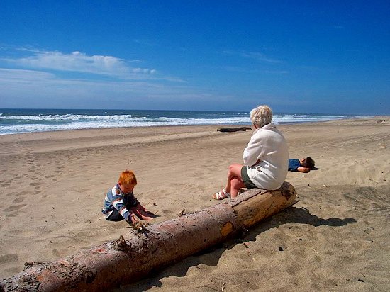 Oregon Coast