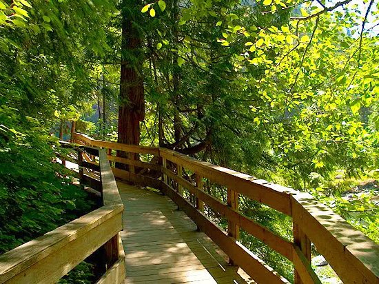 Wooden Foot Bridge at Snowqualime Falls