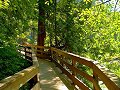 Wooden Foot Bridge at Snowqualime Falls
