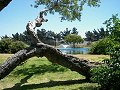 River Park, Lompoc CA