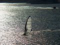 Wind Surfer, Lake Lopez, CA_66