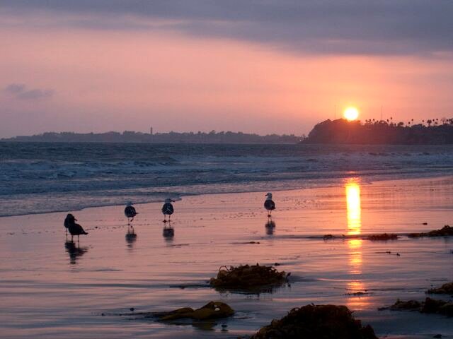 Sunset on the beach. Santa Barbara CA