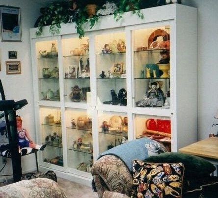 Display cabinet, I designed and built. Made of Oak plywood, MDF (Multi Density Fiberboard) interior