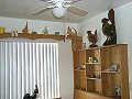Sarah's Kitchen - Custom designed Breakfast Nook. Oak plywood.