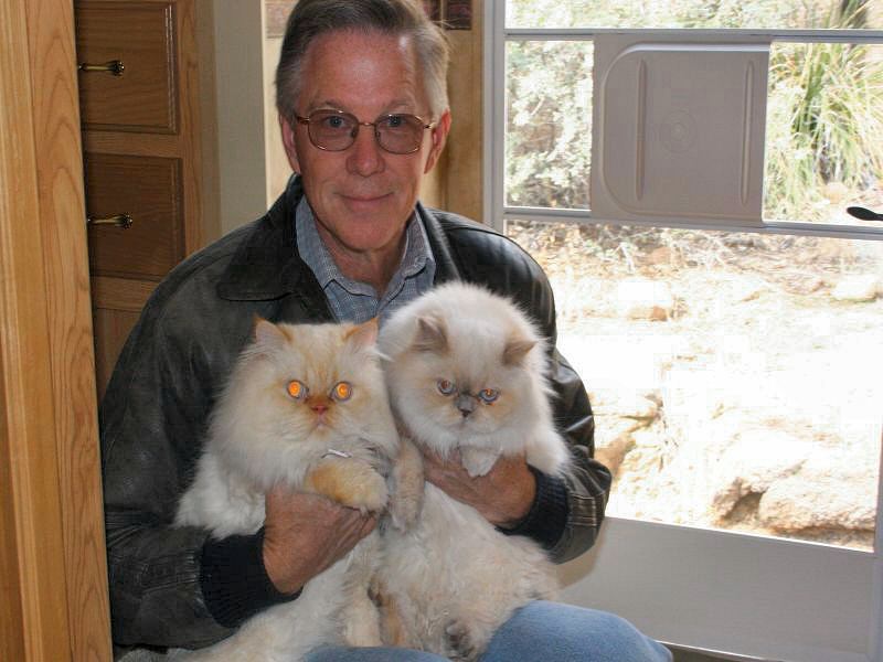Rod_2cats.jpg (126K)
