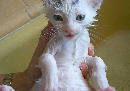 Bath Time