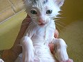 Bath time