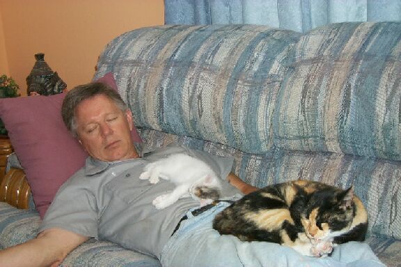 Cat Nap